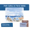 Petit Caillou en Terre Adélie